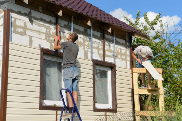 Best Demolition Debris Removal  in Rineyville, KY
