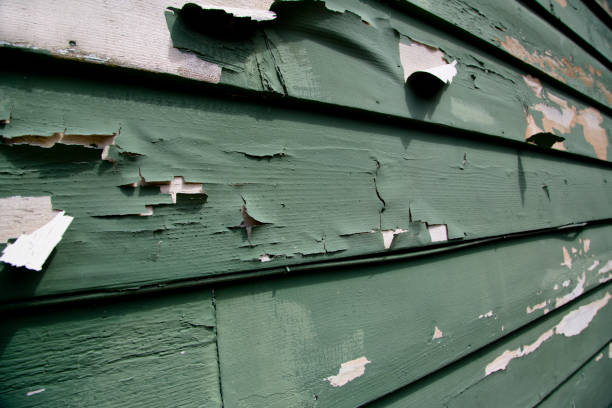 Best Garage Cleanout  in Rineyville, KY