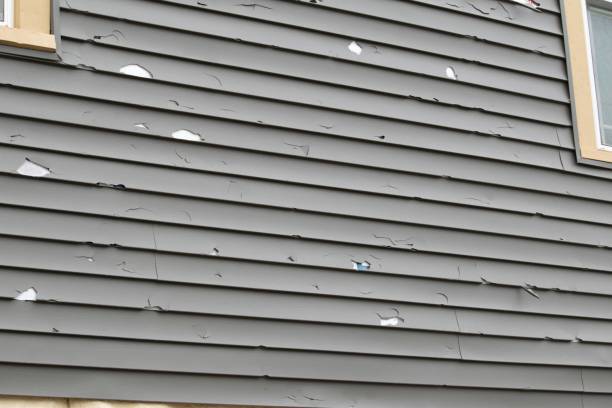 Best Same-Day Junk Removal Services  in Rineyville, KY