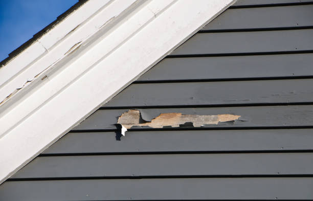 Best Appliance Removal  in Rineyville, KY